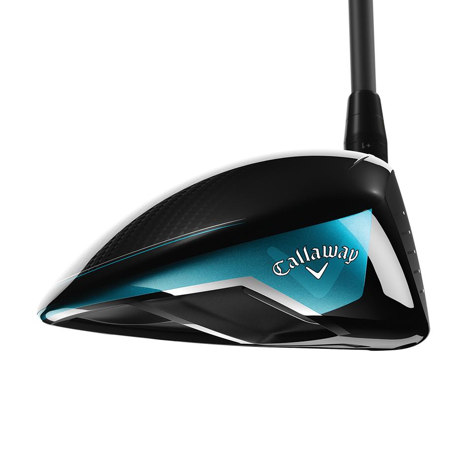 Rogue Driver