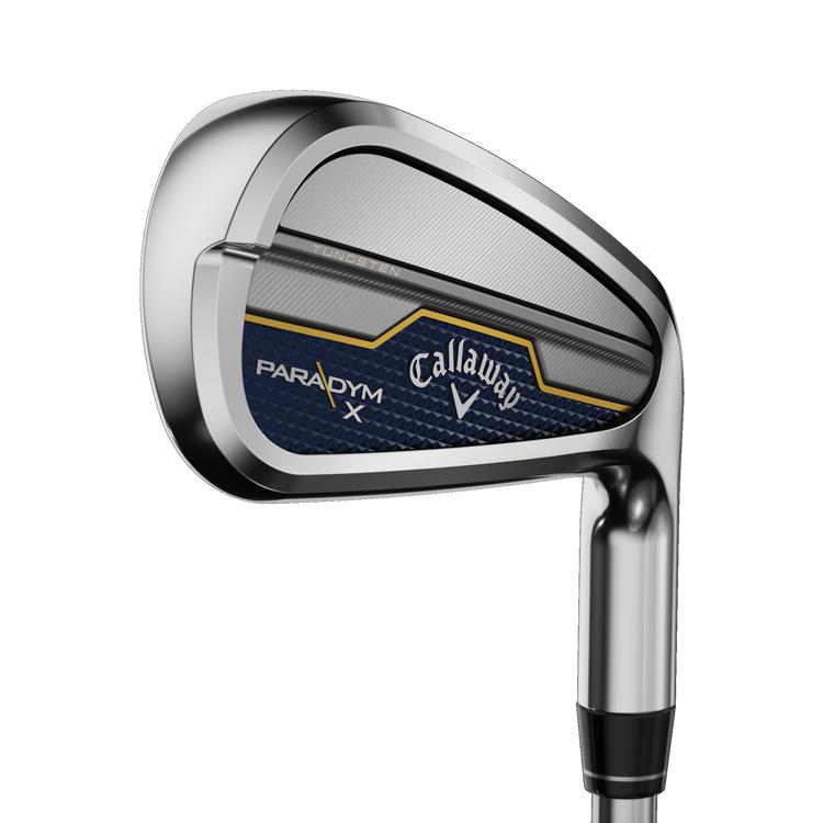 PARADYM X Iron